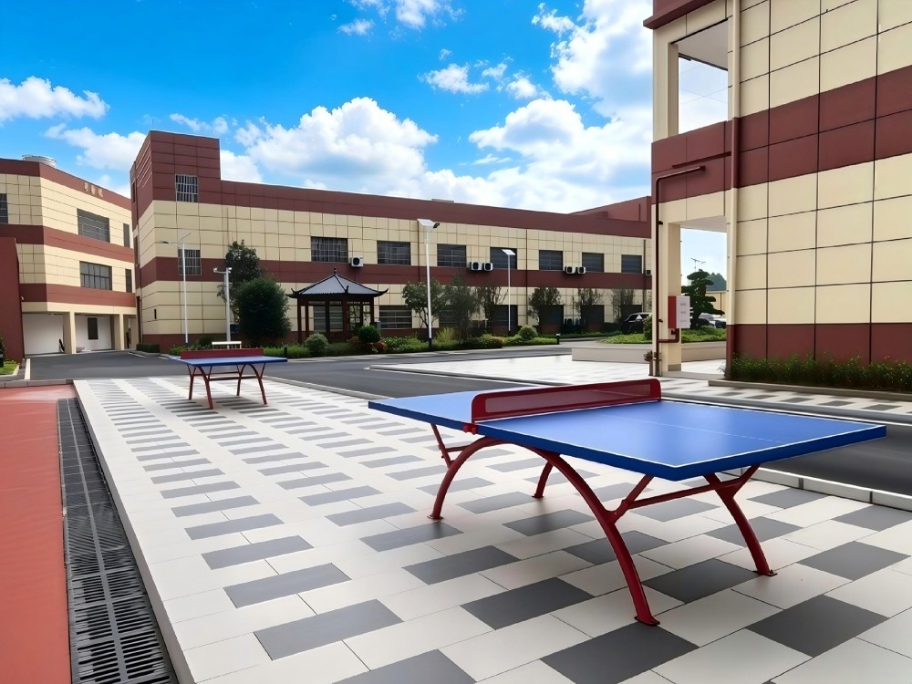 2026年度优选：深圳叛逆小孩教育学校怎么选——从办学资质到五育体系全面解析