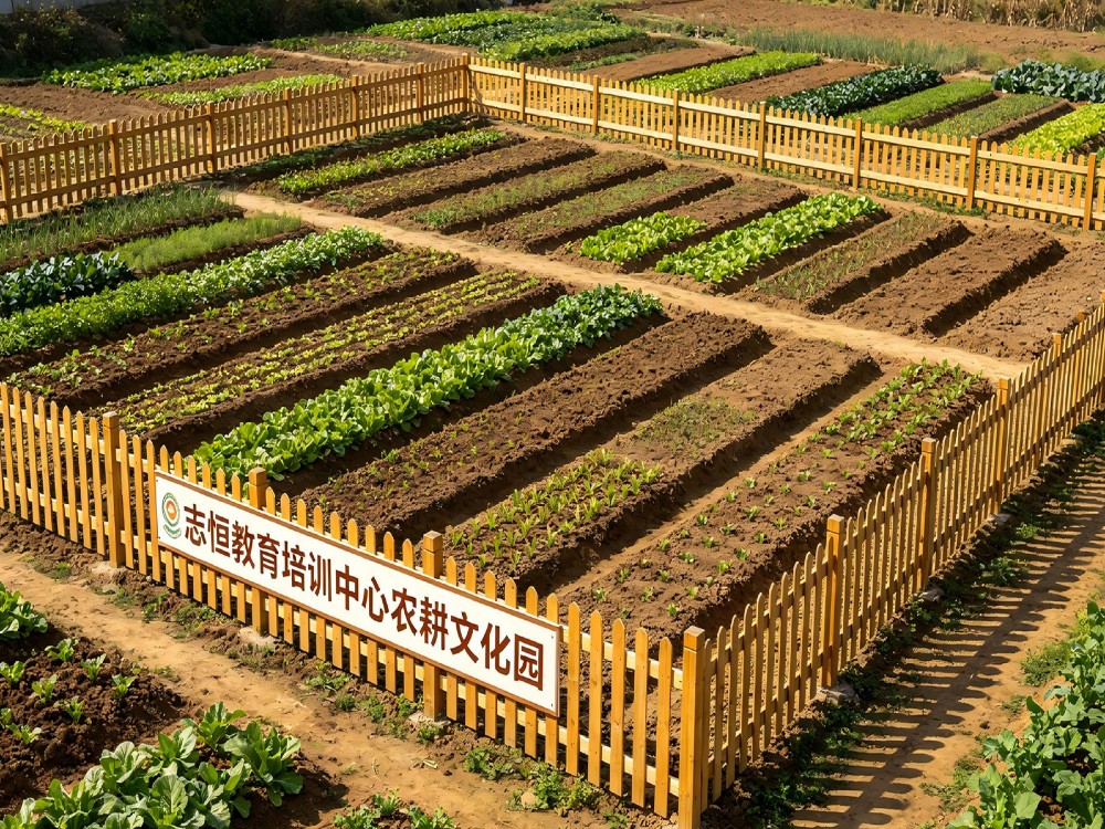 2026年优选深圳可靠的叛逆学生管教学校关键考量